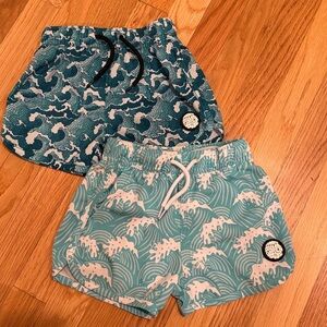 Little Surfer Dude Toddler Boy Swim Trunks 18-24 months